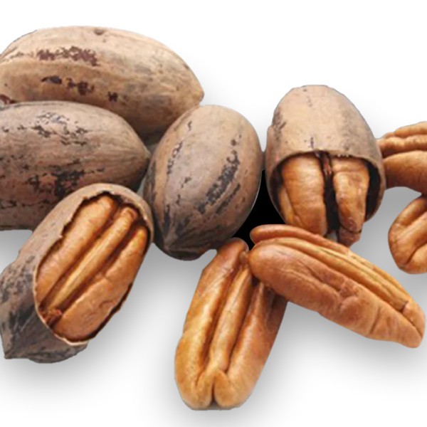 Pecan nuts 