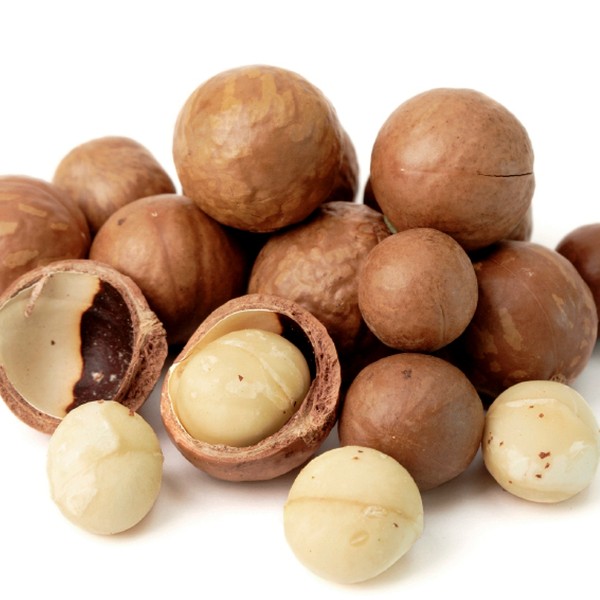 MACADAMIA WITH SHELL